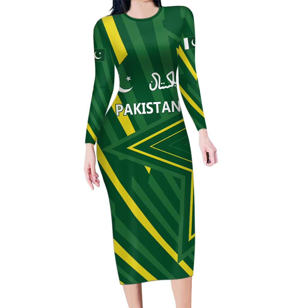 Pakistan Cricket Custom Family Matching Long Sleeve Bodycon Dress and Hawaiian Shirt Shaheen Falcon Go Champions