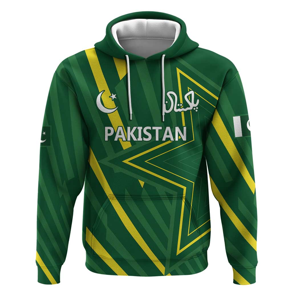 Pakistan Cricket Custom Hoodie Shaheen Falcon Go Champions LT9 - Vibe Hoodie Shop