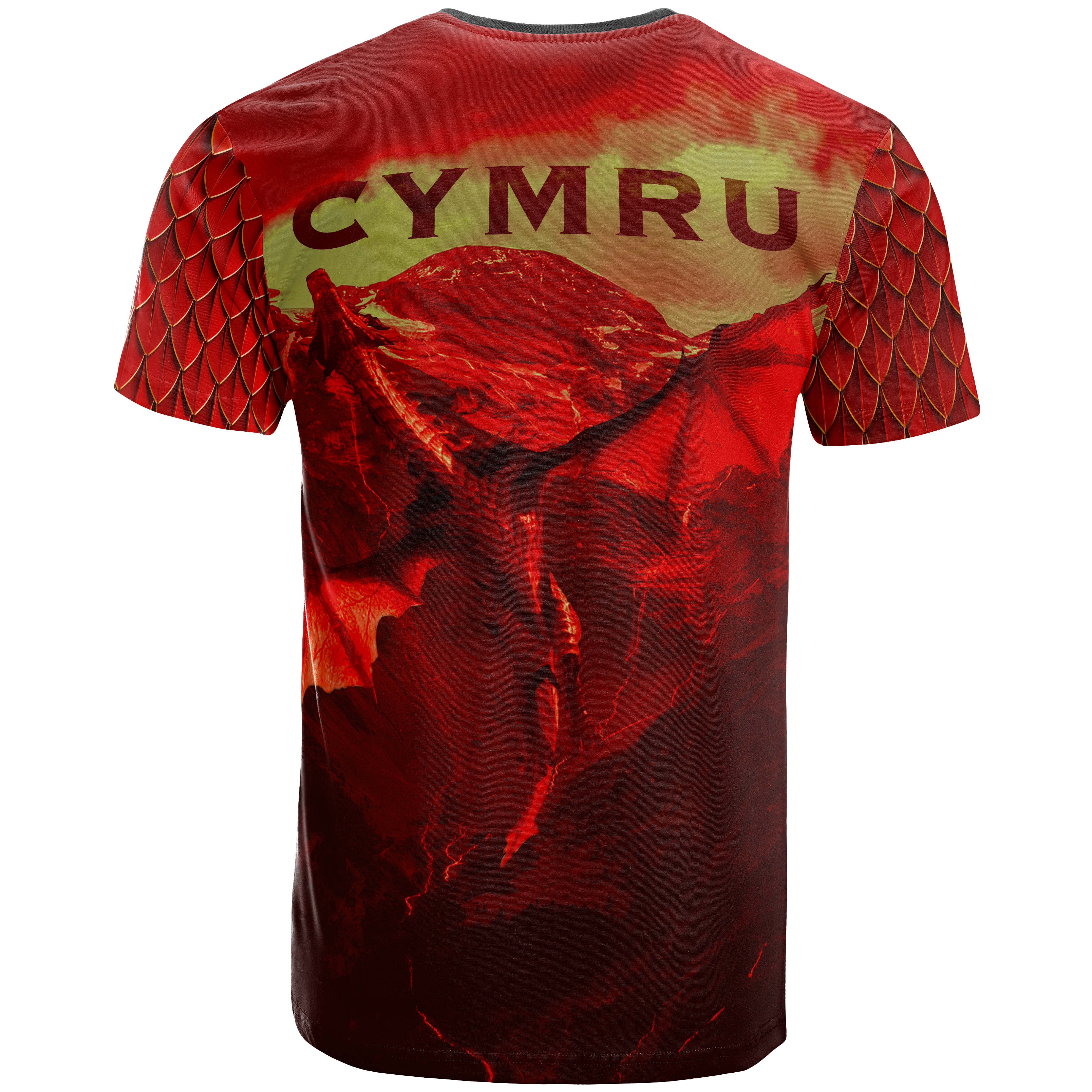 Wales T shirt - Fancy Cymru Dragon - Vibe Hoodie Shop